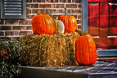 Pumpkins Galore • <a style="font-size:0.8em;" href="http://www.flickr.com/photos/29084014@N02/21718014131/" target="_blank">View on Flickr</a>