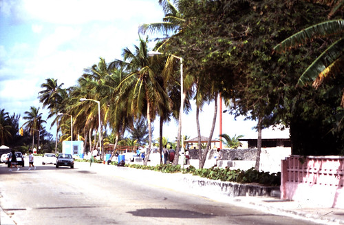 Bahamas 1988 (164) New Providence: Nassau • <a style="font-size:0.8em;" href="http://www.flickr.com/photos/69570948@N04/23739084705/" target="_blank">Auf Flickr ansehen</a>