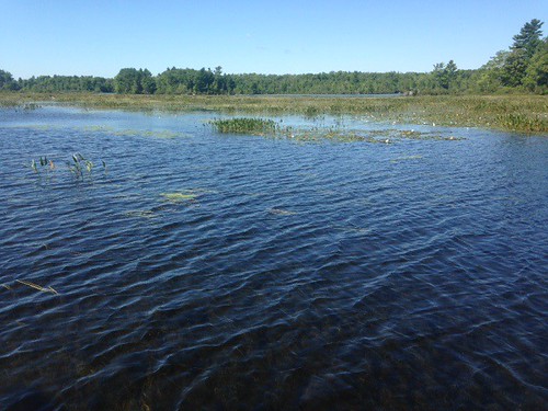 Lower Togus Pond - www.amazingfishametric.com