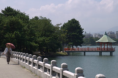 Bridge Ohori Park Fukuoka