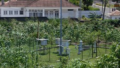 Adasa instalará el sistema de alerta temprana de Santo Tomé y Príncipe • <a style="font-size:0.8em;" href="http://www.flickr.com/photos/69167211@N03/21998821678/" target="_blank">View on Flickr</a>