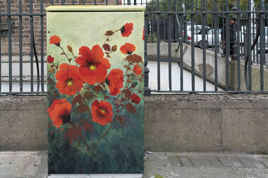 POPPY CORNER BY DONNA MC GEE [Fitzwilliam Street - Merrion Square South] REF-10805495