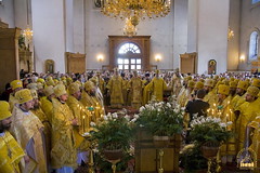 25. Glorification of the Synaxis of the Holy Fathers Who Shone in the Holy Mountains at Donets. July 12, 2008 / Прославление Святогорских подвижников. 12 июля 2008 г