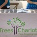Trees Charlotte Event_