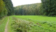 Wiesbachtal