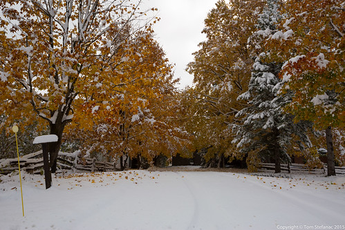 Orange Foliage Along Snow Covered Driveway • <a style="font-size:0.8em;" href="http://www.flickr.com/photos/65051383@N05/22266138706/" target="_blank">View on Flickr</a>
