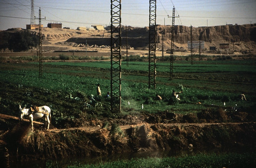 Ägypten 1999 (475) Luxor: Busfahrt nach Dendera • <a style="font-size:0.8em;" href="http://www.flickr.com/photos/69570948@N04/30899952545/" target="_blank">Auf Flickr ansehen</a>