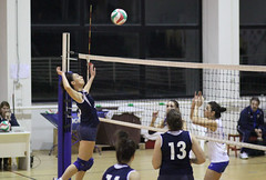 Celle Varazze vs Volleyscrivia Volare, D femminile • <a style="font-size:0.8em;" href="http://www.flickr.com/photos/69060814@N02/22856750689/" target="_blank">View on Flickr</a>