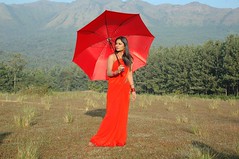 South Actress Deepika Das Hot in Red Sari Photos Set-5 (5)