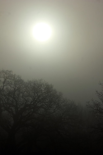 Morgensonne im Nebel (3) • <a style="font-size:0.8em;" href="http://www.flickr.com/photos/69570948@N04/31296948682/" target="_blank">Auf Flickr ansehen</a>
