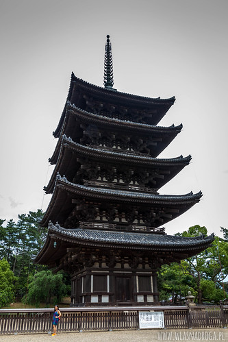 Świątynia Kofukuji