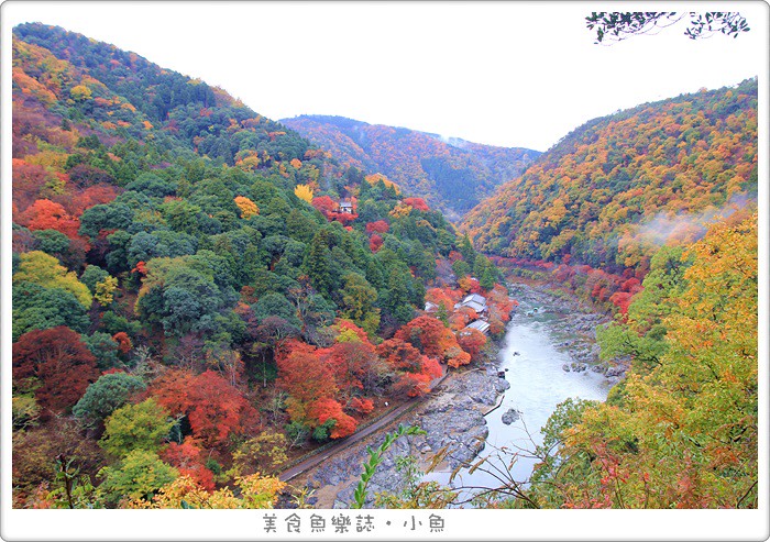 【日本旅遊】京都嵐山 龜山公園展望台 絕世賞楓美景