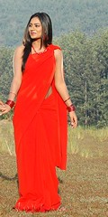 South Actress Deepika Das Hot in Red Sari Photos Set-5 (12)