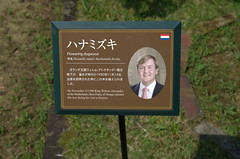 King of The Netherlands Willem-Alexander planted a tree
