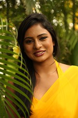 South Actress Deepika Das Hot in Yellow Sari Photos Set-2