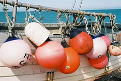 Buoys are Back in Town (35mm)