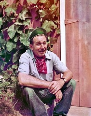 Walt Disney's Barn