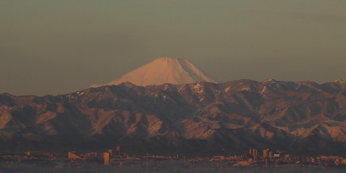 　今朝の、日の出直後の富士山です。丹沢も...
