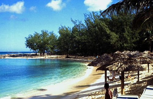 Bahamas 1988 (264) Paradise Island: Cove • <a style="font-size:0.8em;" href="http://www.flickr.com/photos/69570948@N04/24058252116/" target="_blank">Auf Flickr ansehen</a>