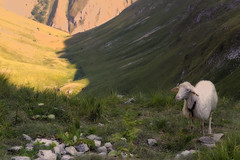 Val di Tela - Parco Nazionale Monti Sibillini
