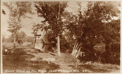 Hume's Grove on Fox River