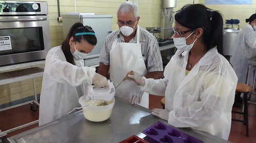 Taller elaboración Jabón de leche de cabra- XVII Congreso 2015