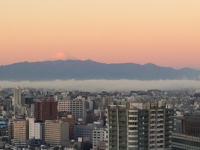 今朝の雲海に浮かぶ富士山。。凄い風景です...