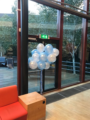 Heliumballonnen Hoge School Rotterdam