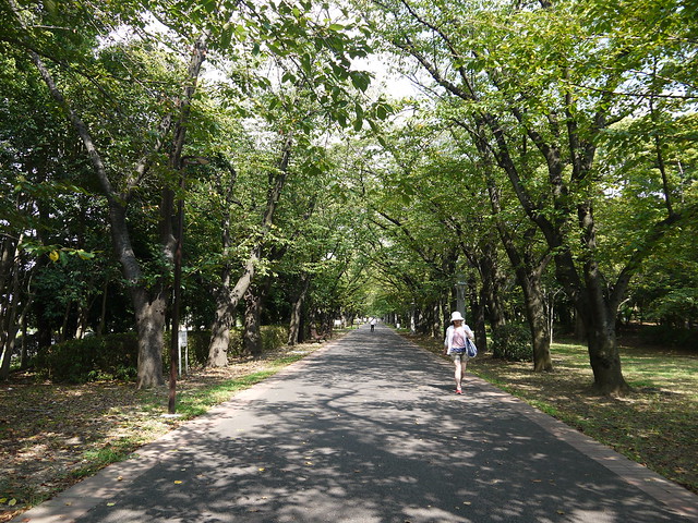 辰巳の森綠道公園