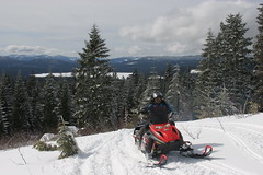 Anglų lietuvių žodynas. Žodis snowmobile reiškia n sniegaeigis; propelerinės rogės lietuviškai.