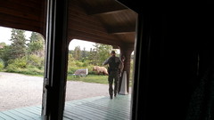 NPS ranger shooing off a mama bear - don't want them to get too comfortable around people at the lodge