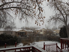 December 25, 2015 - Light snow from the first round on Christmas. (LE Worley)