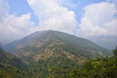 Холм в окрестностях Наяпула