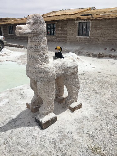 Même la statue de lama est en sel !