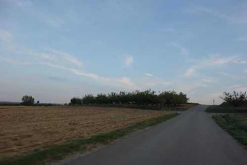 Les paysages changent à nouveau : Pelico voit de nombreux vergers (pommes notamment)