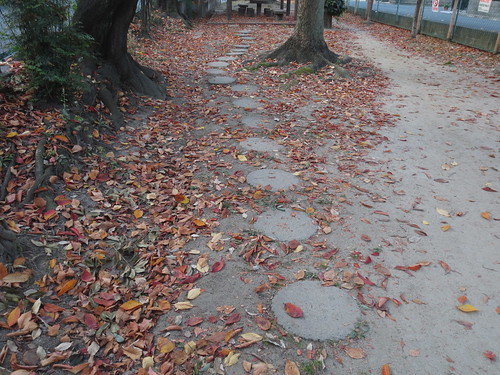 秋の枯葉