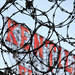 Barbed • <a style="font-size:0.8em;" href="http://www.flickr.com/photos/124925518@N04/20453944723/" target="_blank">View on Flickr</a>