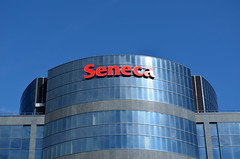 Anglų lietuvių žodynas. Žodis Seneca reiškia n Seneka lietuviškai.