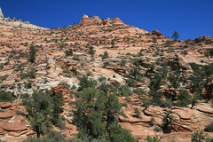 Utah, US • <a style="font-size:0.8em;" href="http://www.flickr.com/photos/136447376@N03/23327102405/" target="_blank">View on Flickr</a>