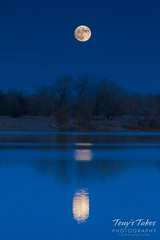 The moon reflects on a pond as it rises