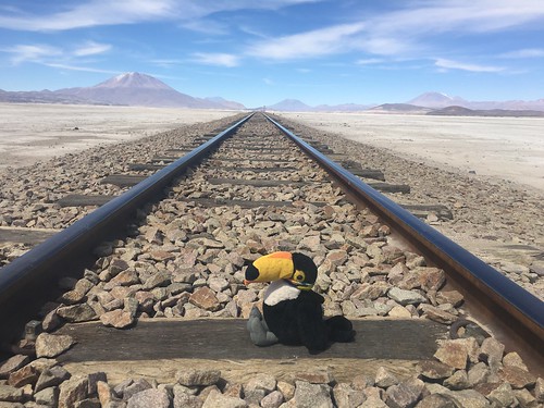 Pelico retrouve la ligne de chemin de fer qui mène au Chili