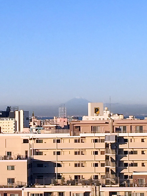 朝でも、富士山も見えました。