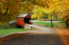 Ebenzer Bridge Autumn