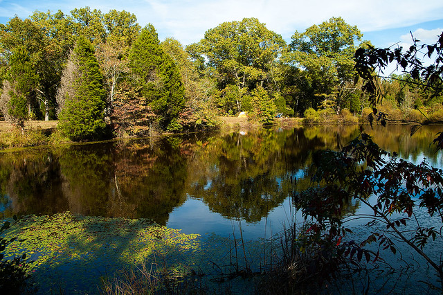 Hoosier National Forest - Maines Pond - October 4. 2015