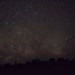 Night sky over Homestead Dune
