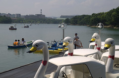 Boats in Ohori Park Fukuoka