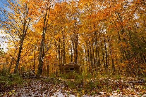 Wide Snow Covered Wood Cabin in Golden Fall Foliage • <a style="font-size:0.8em;" href="http://www.flickr.com/photos/65051383@N05/22104097550/" target="_blank">View on Flickr</a>