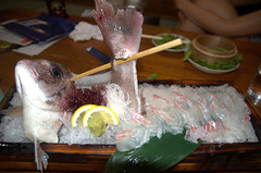 Sea bass sashimi