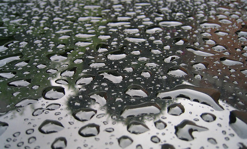 0009PERLASdeLLUVIA • <a style="font-size:0.8em;" href="http://www.flickr.com/photos/30735181@N00/22861230025/" target="_blank">View on Flickr</a>