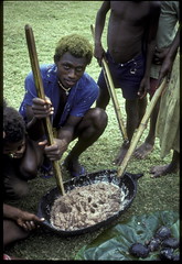 Preparing a custom feast on Makira, Solomon Islands